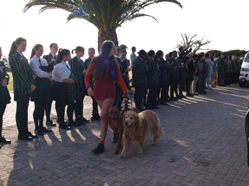ukc12.jpg