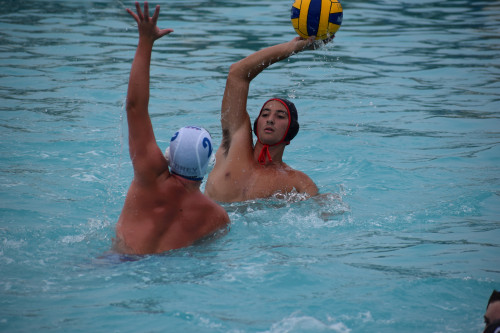 ugo8u.jpg