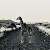 hM3Nn